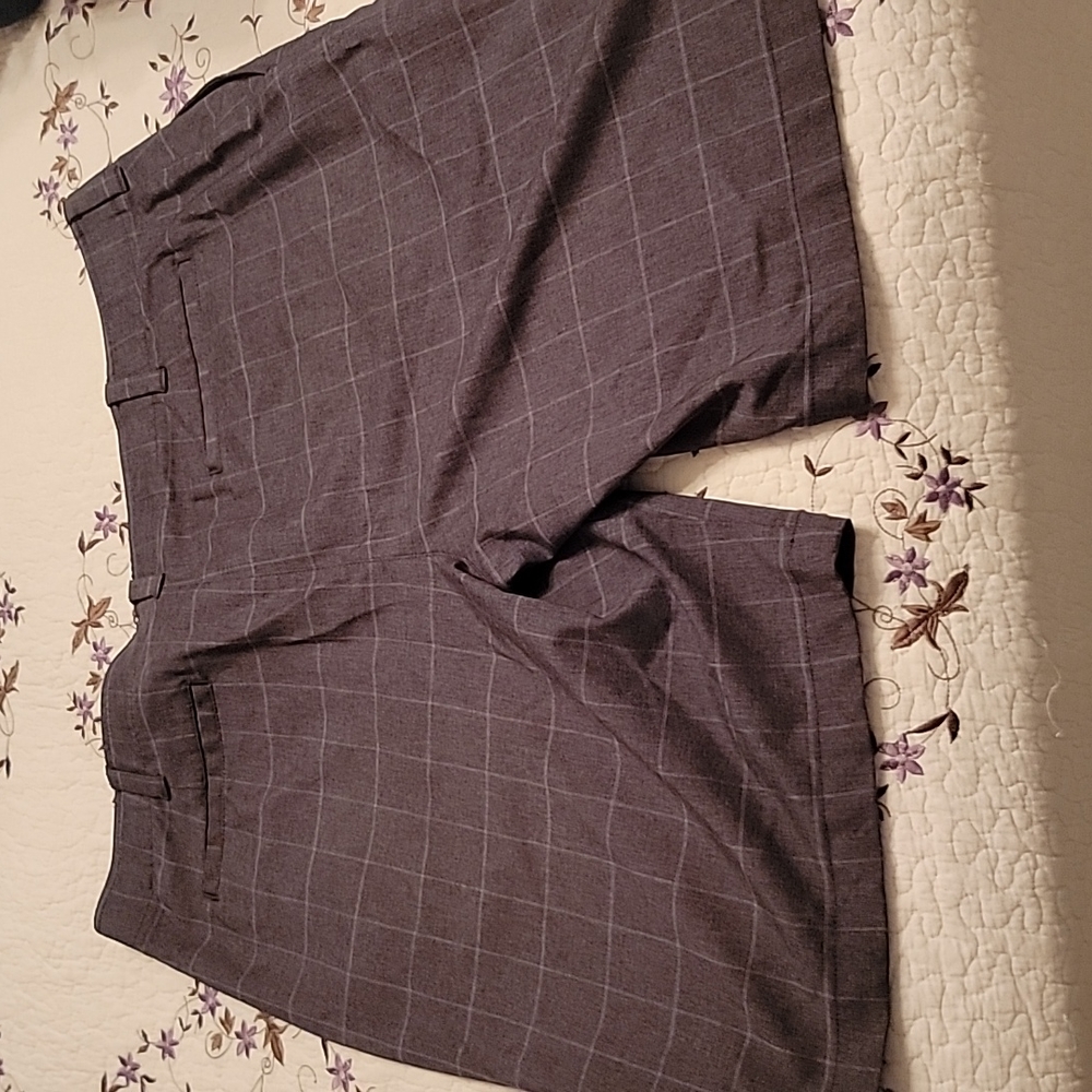 Shorts - Picture 2 of 2